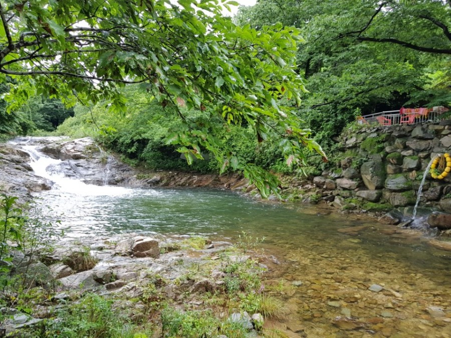 9d9735801d53869b0b780883abc8c6ca_1501312693_0541.jpg